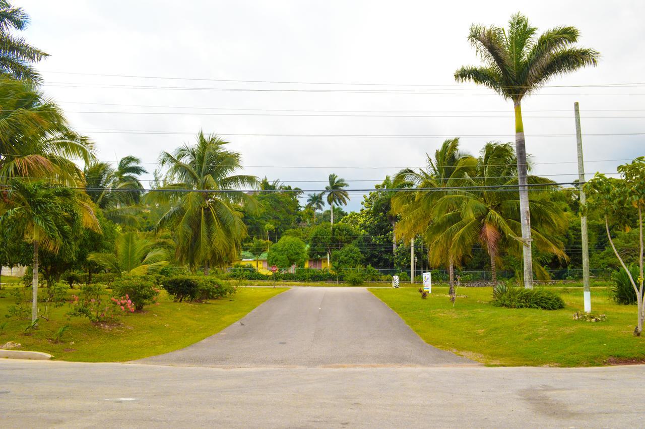 Sahara Dela Mer Inn มอนเทโกเบย์ ภายนอก รูปภาพ